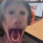 Filip's profile picture